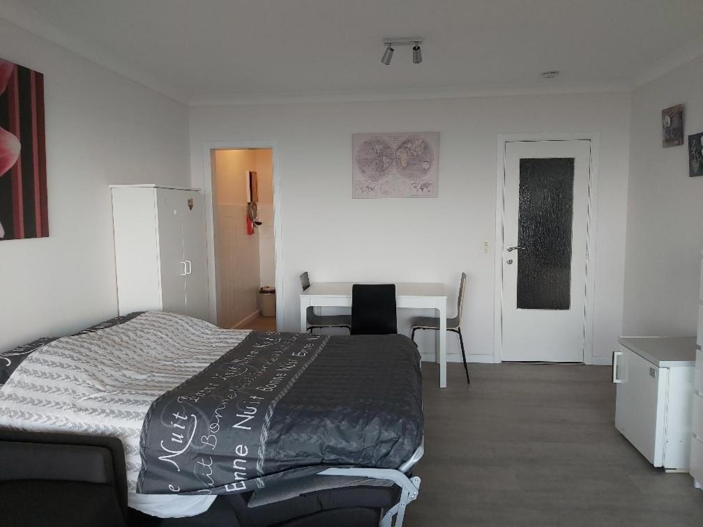 Studio Met Zeezicht Blankenberge Zewnętrze zdjęcie